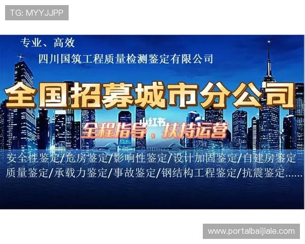 ag试玩会员登录后如何管理个人信息和账户安全措施
