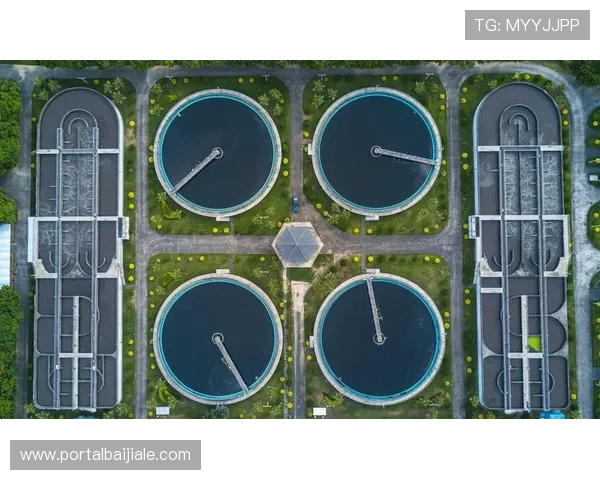 深入解析ag亚游国际市场竞争格局与未来发展方向为玩家提供实用策略 深入解析ag亚游国际市场竞争格局与未来发展方向为玩家提供实用策略