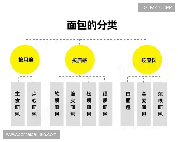 dg视讯维护用户常见疑问解答及专业建议保障玩家权益与平台安全