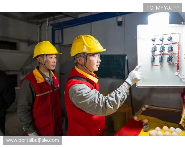 真人视讯平台推荐，精选四大优质品牌确保安全可靠